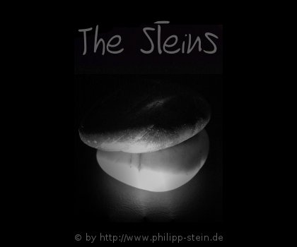 The Steins